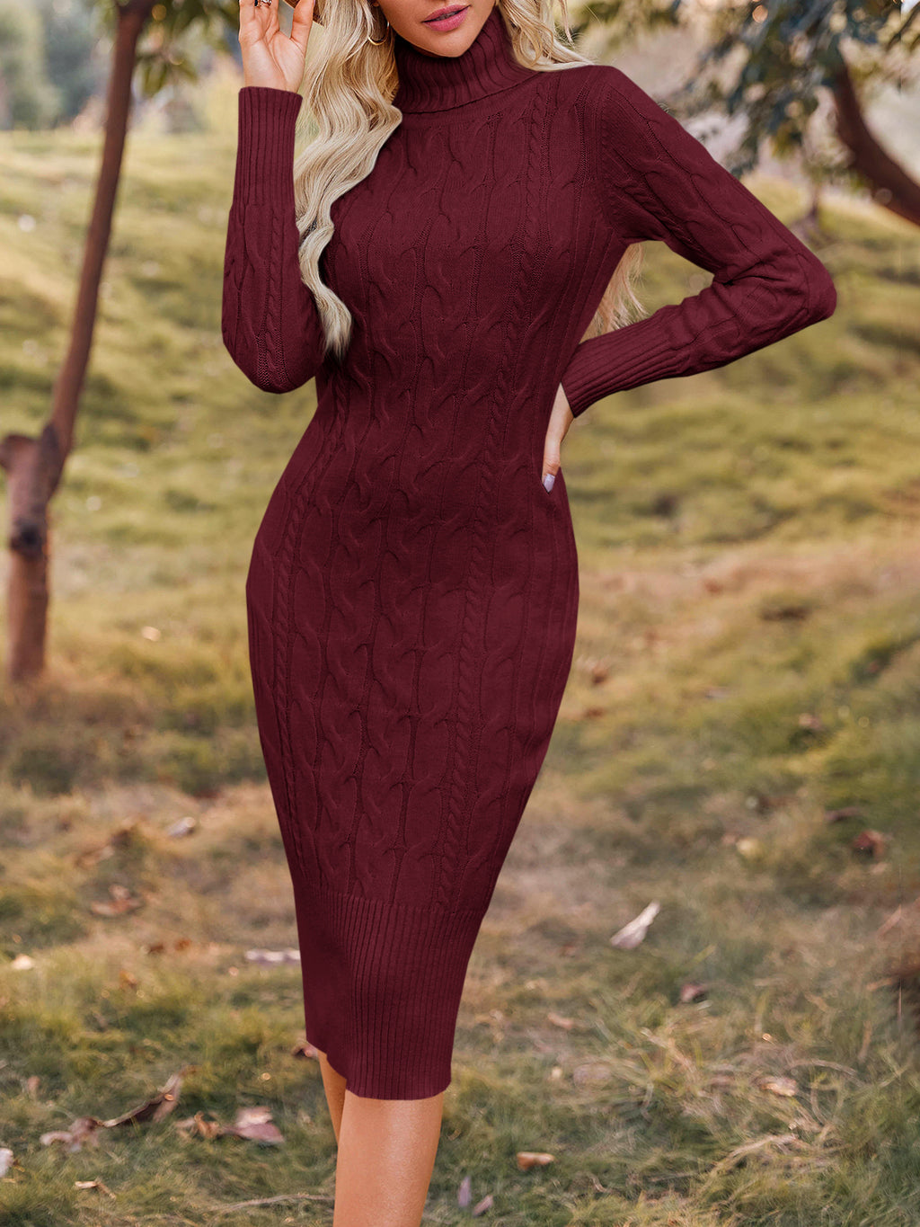 Saodimallsu Womens Turtleneck Sweater Dress